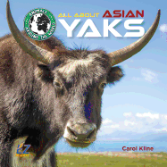 All about Asian Yaks