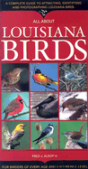 All about Louisiana Birds