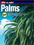All About Palms - Ortho