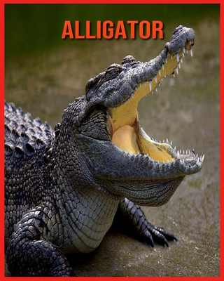 Alligator: Amazing Facts about Alligator by Matilde Sopher - Alibris