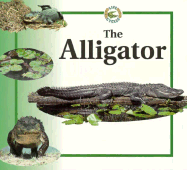 Alligator Life Cycles