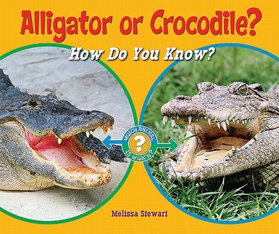 Alligator or Crocodile?: How Do You Know? - Stewart, Melissa