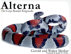 Alterna: The Gray-Banded Kingsnake