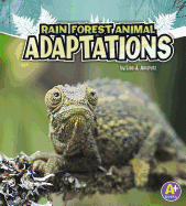 Amazing Animal Adaptations Rain Forest Animal Adaptations