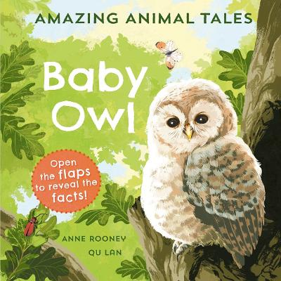 Amazing Animal Tales: Baby Owl - Rooney, Anne