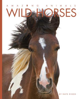 Amazing Animals Wild Horses - Riggs, Kate