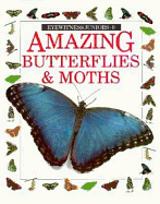 Amazing Butterflies and Moths