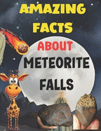 Amazing Facts About Meteorite Falls: An unforgettable adventure with space rocks