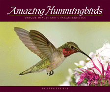 Amazing Hummingbirds: Unique Images and Characteristics