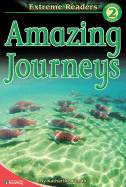 Amazing Journeys