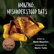 Amazing, Misunderstood Bats