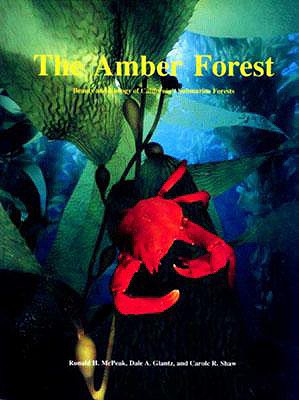 Amber Forest: Beauty and Biology of California's Submarine Forests - McPeak, Ronald H, and Glantz, Dale A, and Shaw, Carole R