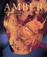 Amber - Grimaldi, David A
