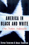 America in Black and White: One Nation, Indivisible
