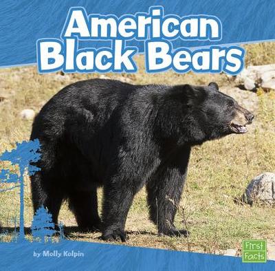 American Black Bears - Kolpin, Molly