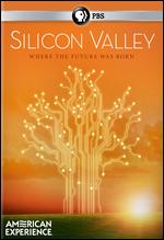 American Experience: Silicon Valley - Randall MacLowry