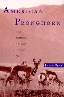 American Pronghorn: Social Adaptations and the Ghosts of Predators Past - Byers, John A
