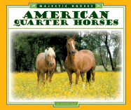 American Quarter Horses