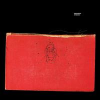 Amnesiac [LP] - Radiohead