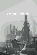 Among Ruins