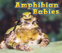 Amphibian Babies