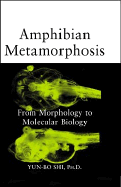 Amphibian Metamorphosis: From Morphology to Molecular Biology - Shi, Yun-Bo