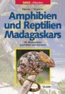 Amphibien Und Reptilien Madagaskars, Der Maskarenen, Seychellen Und Komoren - Michael KnThig, Klaus Liebel, Roland. Zobel, Friedrich-Wilhelm Henkel, Wolfgang. Schmidt