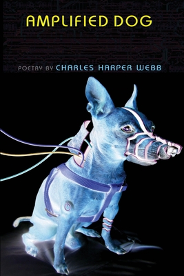 Amplified Dog - Webb, Charles Harper, Mr.