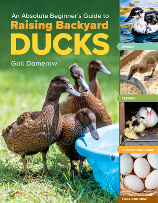 An Absolute Beginner's Guide to Raising Backyard Ducks: Breeds, Feeding, Housing and Care, Eggs and Meat - Damerow, Gail