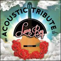 An Acoustic Tribute To Lana Del Rey - Various Artists