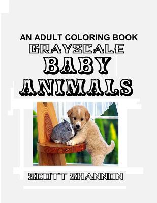 An Adult Coloring Book - Grayscale Baby Animals - Shannon, Scott, MD