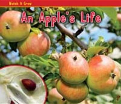 An Apple's Life - Dickmann, Nancy