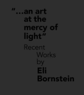 An Art at the Mercy of Light: Recent Works by Eli Bornstein