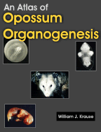 An Atlas of Opossum Organogenesis: Opossum Development - Krause, William J