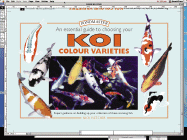 An Essential Guide to Choosing Your Koi Colour Varieties - Fletcher, Nick