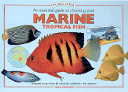 An Essential Guide to Choosing Your Marine Tropical Fish