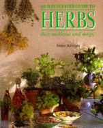 An Illustrated Guide to Herbs, Their Medicine and Magic - Kruger, Anna