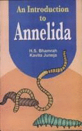 An Introduction to Annelida