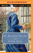 An Unexpected Joy: An Amish Christmas Gift Novella
