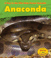 Anaconda