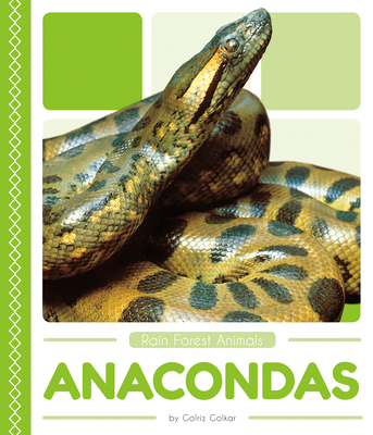 Anacondas - Golkar, Golriz