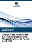 Analyse der finanziellen Leistungsf?higkeit des Wasserkraftwerks Peshk 3,43 MW