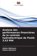 Analyse des performances financi?res de la centrale hydro?lectrique de Peshk 3,43 MW