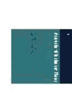 Analysis of Turbulent Flows with Computer Programs