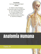 Anatoma Humana