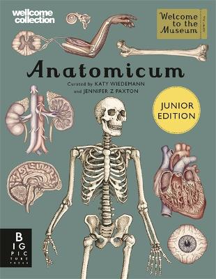 Anatomicum Junior - Paxton, Jennifer Z