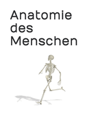 Anatomie des Menschen