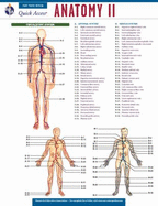 Anatomy 2-Rea's Quick Access Reference Chart - The Staff Of Rea