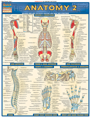 Anatomy 2 - Reference Guide - Perez, Vincent