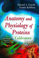 Anatomy and Physiology of Proteins. Caldesmon